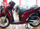 Tiêu thụ 3 triệu xe máy mỗi năm, Việt Nam đứng thứ 4 thế giới
