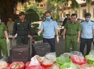 Hơn 500 kg ma túy vào TP.HCM qua đường cảng biển, hàng không