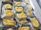 Sầu riêng Việt đông lạnh vẫn đắt hàng ở Mỹ và Úc