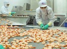 Bất chấp dịch, người Mỹ chi hơn 300 triệu USD để 'ăn' tôm VN