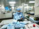 Gần cả tỉ chiếc khẩu trang Việt Nam đã được xuất ngoại