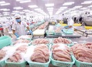 Cá tra Việt lại lo tắc đường sang Trung Quốc