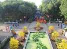 TP.HCM dâng cúng bánh tét lên Quốc tổ Hùng Vương