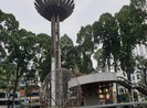Quận 3: Xây dựng phố đi bộ ‘chất lượng cao’ khu hồ Con Rùa
