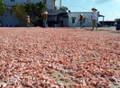 Phát hiện thủy hải sản khô kém chất lượng, báo ai?