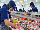 Cá tra Việt Nam được Mỹ giảm thuế chống phá giá