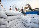 Cơ hội xuất khẩu gạo vào Hàn Quốc từ hạn ngạch thuế quan