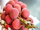 Mẹo chọn quả vải tươi ngon, không bị sâu