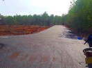 Ngưng chuyển quyền sử dụng 17 ha đất sai phạm tại Phan Thiết
