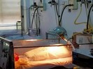 Cứu sống bé sơ sinh bị cột trong túi nylon bỏ rơi ven đường