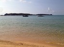 Phát hiện cá voi nặng hơn 10 tấn gần đảo Phú Quý