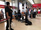 500 trường hợp vận chuyển vật nguy hiểm qua Tân Sơn Nhất