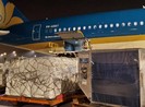 Vietnam Airlines tăng thị phần chở hàng xuất nhập khẩu