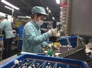 660 triệu thanh niên bị ảnh hưởng việc làm do dịch COVID-19