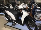 Doanh số quý I giảm, giá bán xe máy tháng 4 vẫn chênh cao
