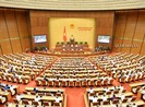 Đề nghị tiếp tục lấy ý kiến 2 dự án luật giao thông