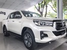 Thị trường xe bán tải bắt đầu khởi sắc sau dịch