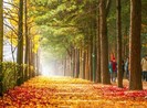 Khách lợi dụng visa năm năm để bỏ trốn, một DN bị vạ lây