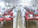 Cứu doanh nghiệp lao đao: Đừng 'trên nóng dưới lạnh'