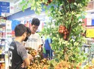 Mùa vải thiều trúng đậm, Bắc Giang thu kỷ lục hơn 6.800 tỉ