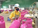Giá gas tháng 8 tăng 2.000 đồng/bình 12 kg