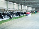 Thương hiệu dẫn đầu Việt Nam có giá trị khủng 2,9 tỉ USD
