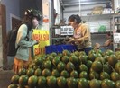 Bơ booth đạt chất lượng bị hàng xô đẩy rớt giá