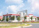 Công ty Việt Nam cung cấp gạo cho ông lớn bia thế giới