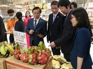 Miến dong núi Đá, ổi nữ hoàng…Việt tìm đường sang Nhật
