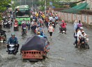 Học sinh TP.HCM bì bõm trong biển nước do triều cường