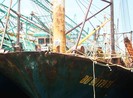 Ngư dân yêu cầu thay vỏ tàu thép Trung Quốc