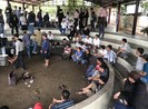 Phá điểm đá gà ăn tiền lớn ở Phú Yên