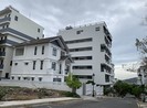 Loạt biệt thự xây hoàn thiện dù bị yêu cầu cưỡng chế nhiều lần