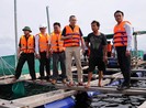 Phú Yên buộc toàn bộ người nuôi thủy sản vào bờ tránh bão