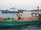 Vùng Cảnh sát biển 4 bắt tàu chở gỗ lậu