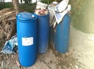 Điều tra số cá koi nửa tỉ đồng chết bất thường