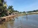 3 người chết trong chòi tôm để lại 2 lá thư tuyệt mệnh
