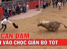 Ai can đảm mời vào chọc giận bò tót