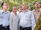 Thủ tướng khảo sát vùng chuyên canh sầu riêng của Tiền Giang
