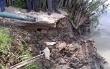 Sạt lở bờ sông ào ào như giông, hàng chục người phải tháo chạy ảnh 2