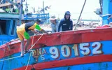 Trục vớt tàu cá bị tàu Trung Quốc đâm chìm trên biển ảnh 13