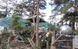 Cây thông cổ thụ của bệnh viện Lâm Đồng bật gốc, bốn người bị thương nặng ảnh 3