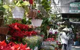 Chùm ảnh TP.HCM nhộn nhịp hoa, trái phục vụ Tết ảnh 8