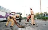 CSGT xắn tay áo dọn dẹp hiện trường tai nạn ảnh 7 CSGT xắn tay áo dọn dẹp hiện trường tai nạn ảnh 7