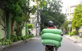 Ảnh vui 'người vận chuyển' Sài Gòn ảnh 5