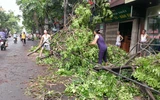 Người dân Hà Nội thu dọn sau cơn giông ảnh 9