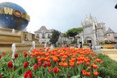 10 năm đánh thức tiên cảnh Bà Nà Hills 10 năm đánh thức tiên cảnh Bà Nà Hills