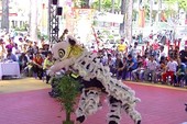 Bất ngờ tại giải lân sư rồng Chợ Lớn Bất ngờ tại giải lân sư rồng Chợ Lớn