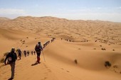 Người Việt được du lịch tại Algeria như thường lệ Người Việt được du lịch tại Algeria như thường lệ