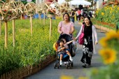 Người Sài Gòn nô nức đến hội hoa xuân Phú Mỹ Hưng Người Sài Gòn nô nức đến hội hoa xuân Phú Mỹ Hưng